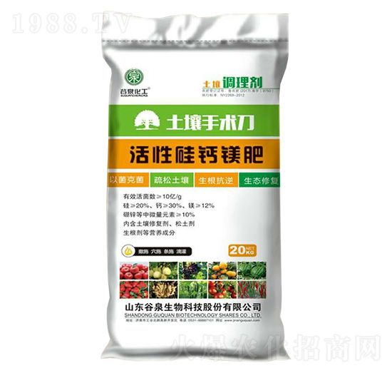 ���Թ��}�V��-�������g(sh��)��-��Ȫ����