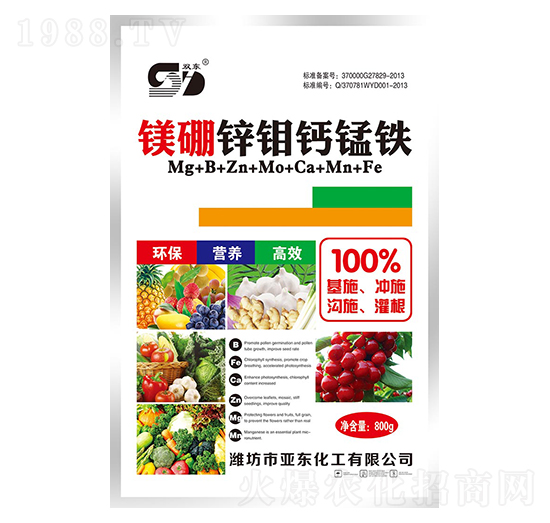 �V���\�f�}�i�F-�p�|-���|����