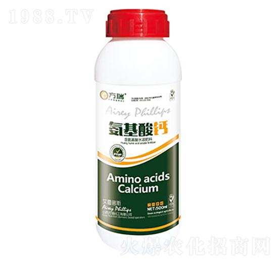 500ml�������}-����