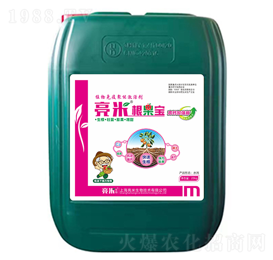 ���}�ӏ���-���׸�����-��������