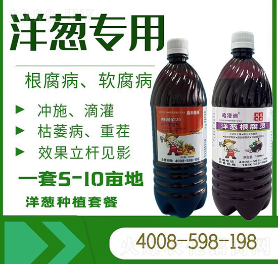 洋蔥根腐軟腐專用-哈漫迪-鑫科植保