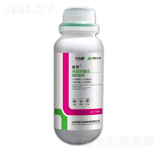 �}�V�\���F-�뺷-�����S