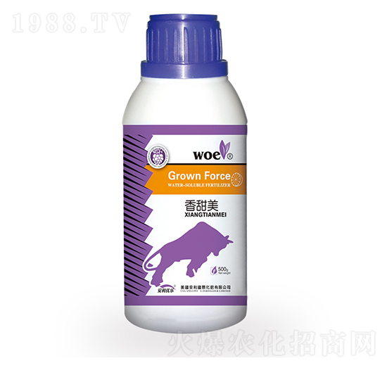 ������-�֠�