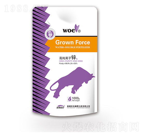 �߼��x���\-�֠�