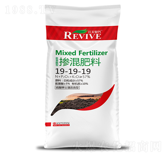 �������19-19-19-������