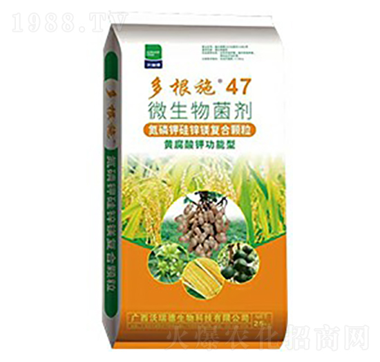 ΢�������-���ʩ47-���������