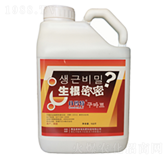 ��������-�Ȭ����H��