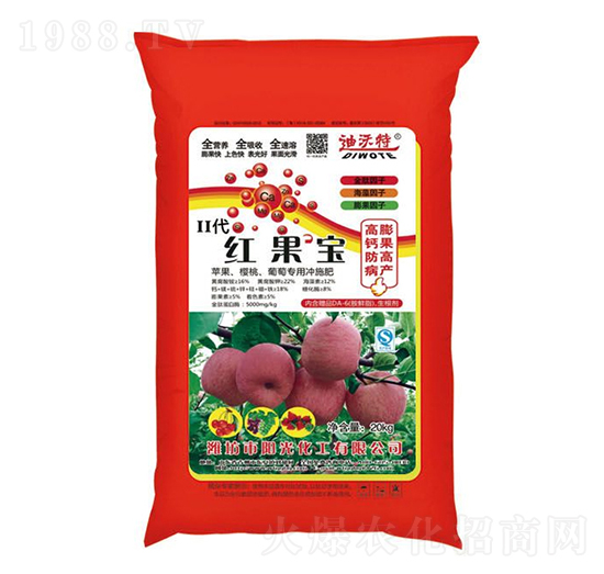 �t�������-������-ꖹ⻯��