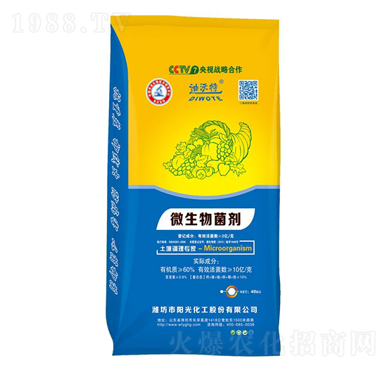 ΢���������10�|�����-������-�(y��ng)�⻯��