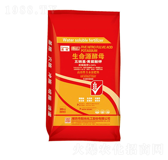 ����Դ��ĸ-���Z-ꖹ⻯��