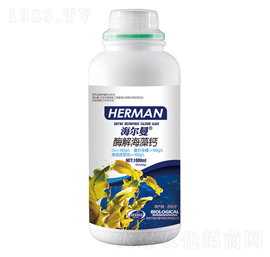 ø�⺣���}-������-�n��ʘI(y��)