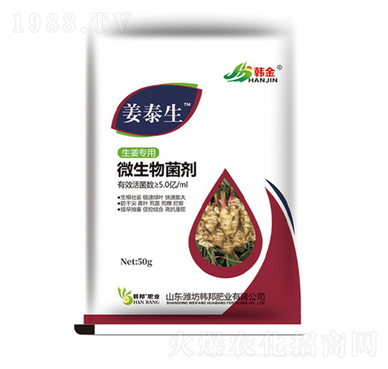 ��������΢�������-��̩��-�n��-�n��ʘI(y��)