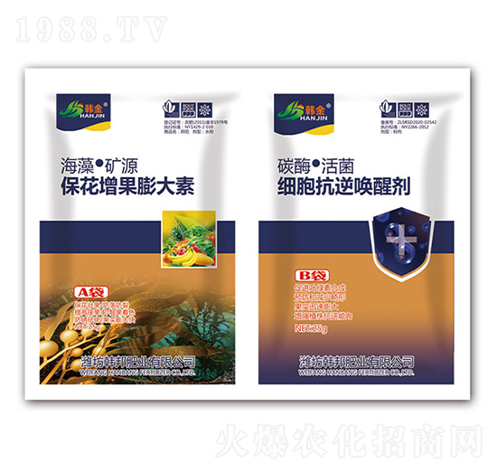 �������������-��(x��)�����憾�ф�-�n��-�n��ʘI(y��)