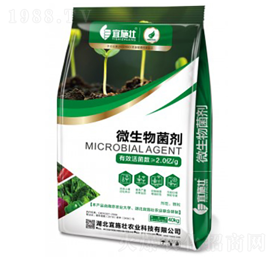 2�|���΢�������-��ʩ��