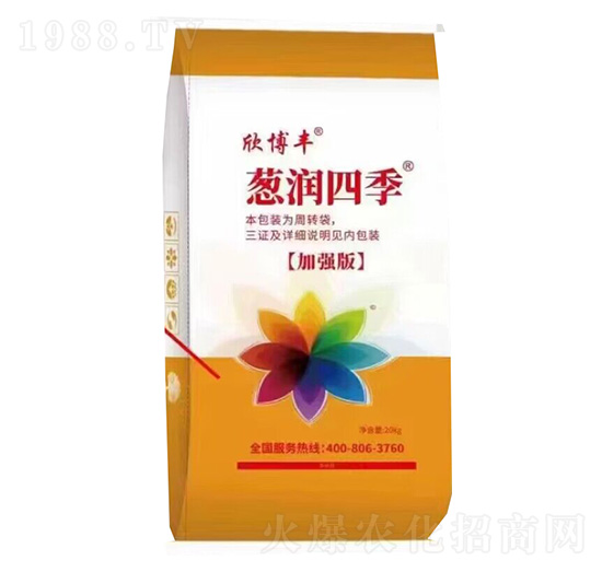 �[���ļ�-�����S-�����S