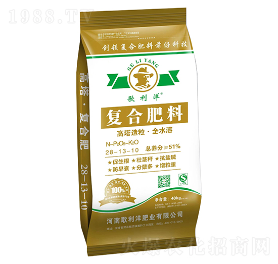 ���������ͺϷ���28-13-10-������