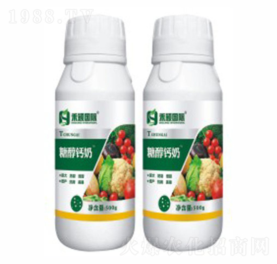 �Ǵ��}��-�̷f����