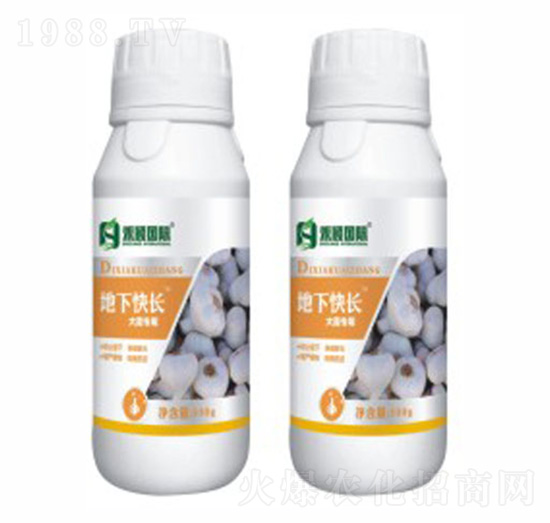 �⡢�[���������~���-���¿��L-�̷f����