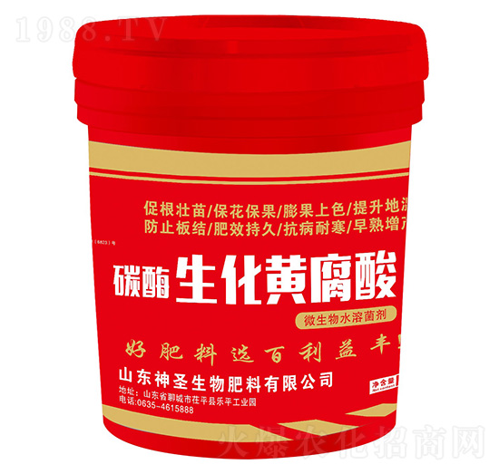 �f�A��̼ø�����S����-��ʥ����