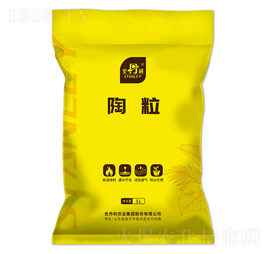 ����-ʷ����