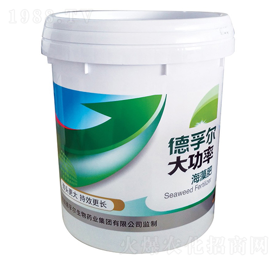 ���ʺ����-���ڠ�