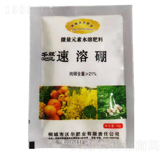 ������-�֠��ʘI(y��)