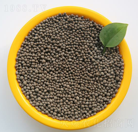 ��������ֲ��ͺϷ��w��-���B��