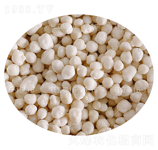 ������͏�(f��)�Ϸ��ϣ��w����16-16-16-�V����-���컯