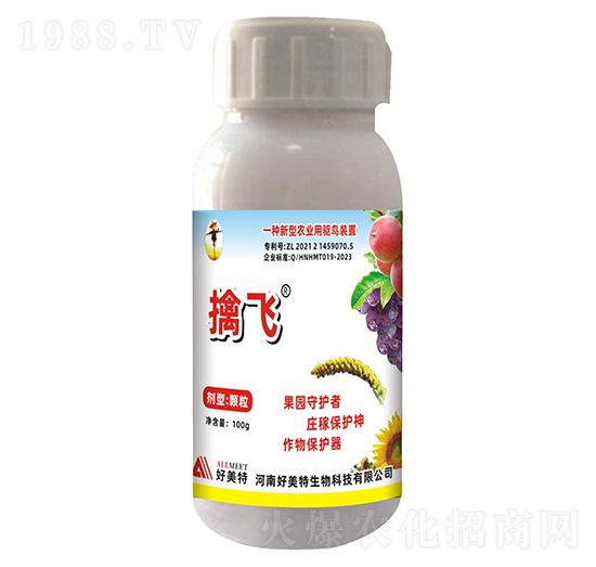 100g���w��B�����w����-������