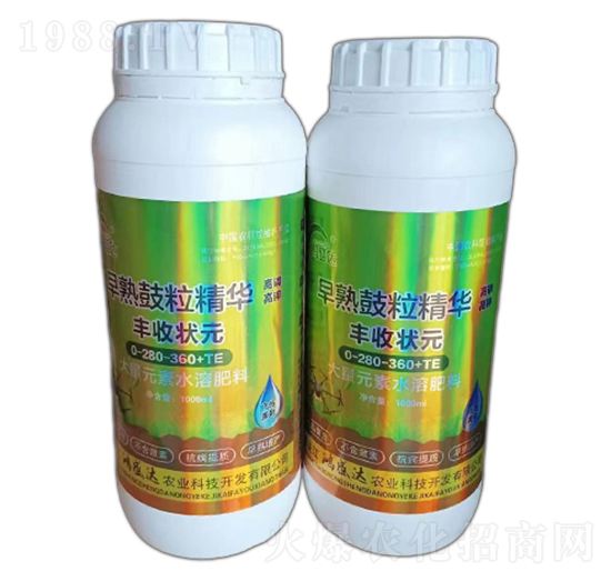 早熟鼓粒精華-鴻盛達(dá)