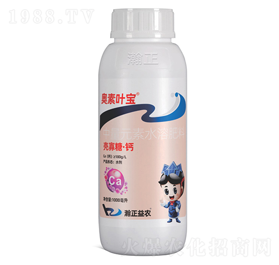 �����ǡ��}-�W���~��-������r