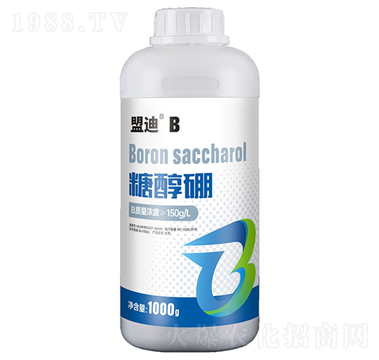 �Ǵ���-�˵�-���d����