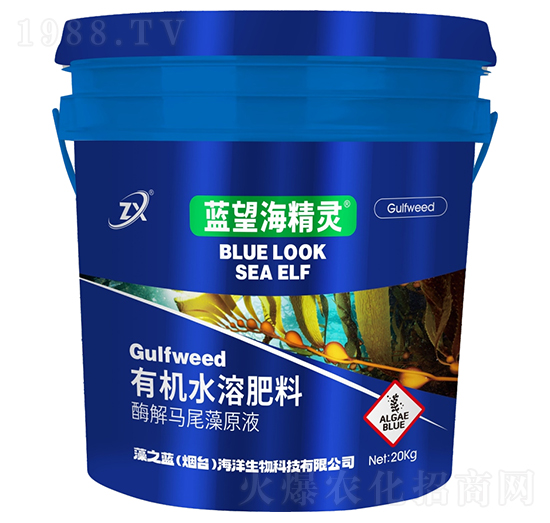 酶解馬尾藻原液-藍(lán)望海精靈-藻之藍(lán)