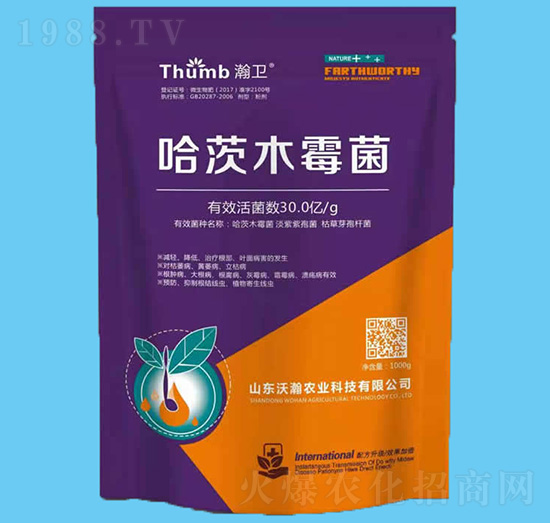 1000g����ľù����30�|�����-��l(w��i)-����r(n��ng)�I(y��)
