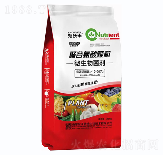 �۹Ȱ����w��΢�������-�����S-�����_����