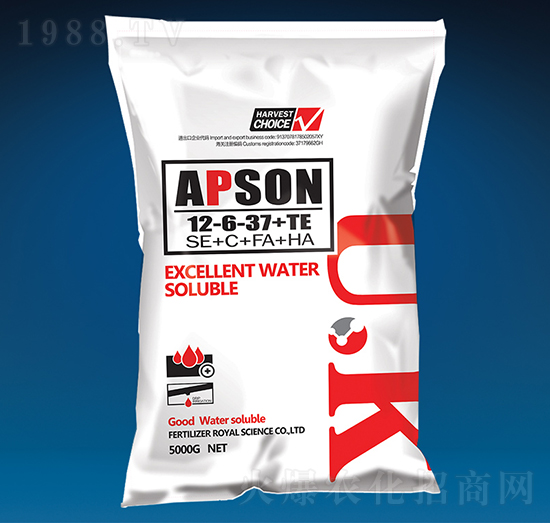 �������12-6-37+TE-������