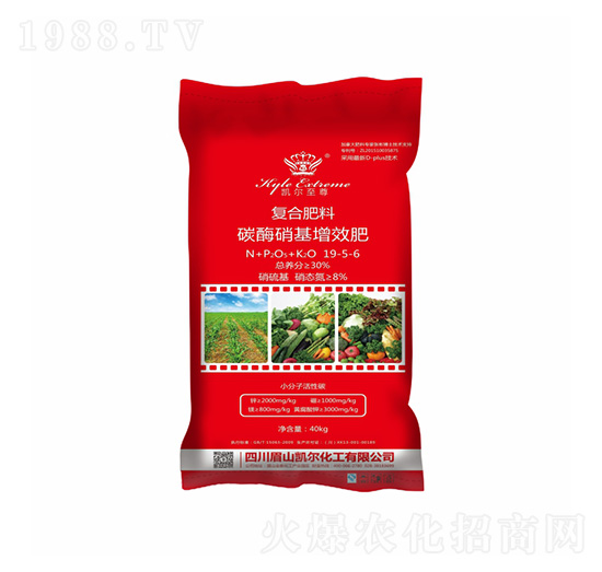 ̼ø������Ч��(f��)�Ϸ���19-5-6-�P���ѷʘI(y��)