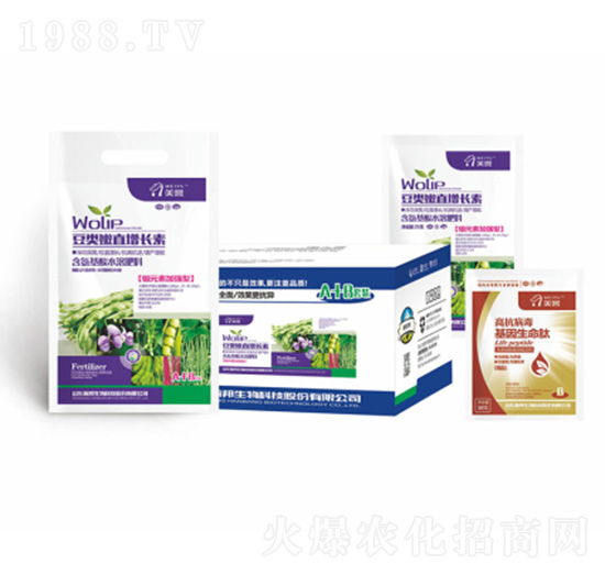 ���(l��i)���~���L(zh��ng)��-嫰�����