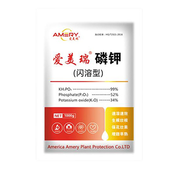 �W���͐��������-������