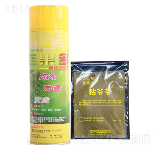 ���x�Tճ��-�ѹ���