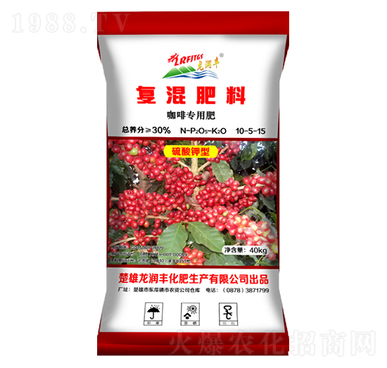 ���Ȍ��Ï�(f��)�����10-5-15-�����S