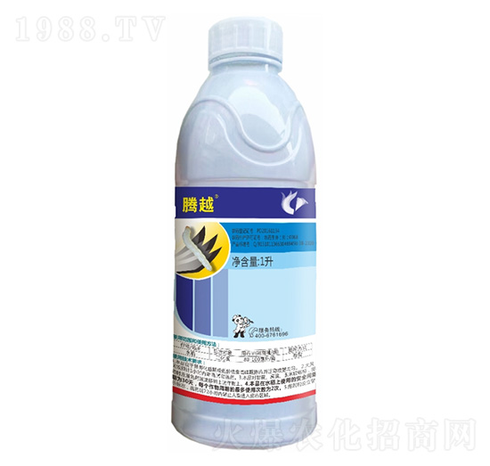 20%���S��������-�vԽ-����¡����