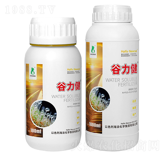 谷力健-中農奧邦