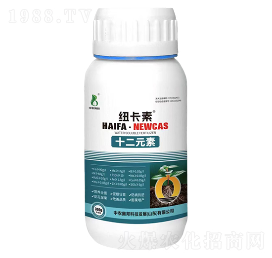 ʮ��Ԫ��-�~����-���r(n��ng)�W��