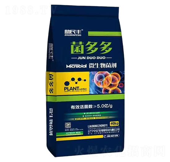 �����΢�������-�����S-�Ѓ|�r�I(y��)