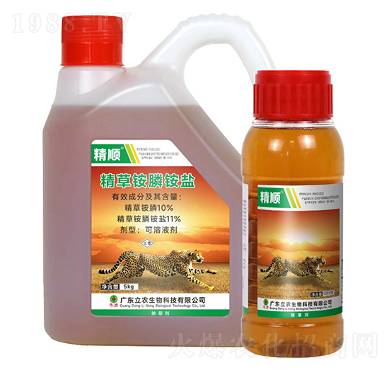 10%�����@�-���-�V�|���r