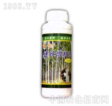 ��ɽ����-������L(zh��ng)����