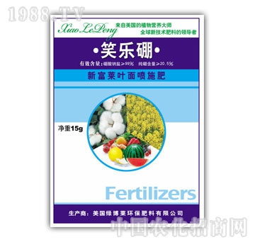 �G���R-Ц����15g