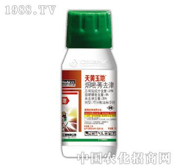 24%����ݬȥ��-���