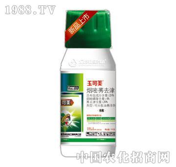 24%����ݬȥ��-���